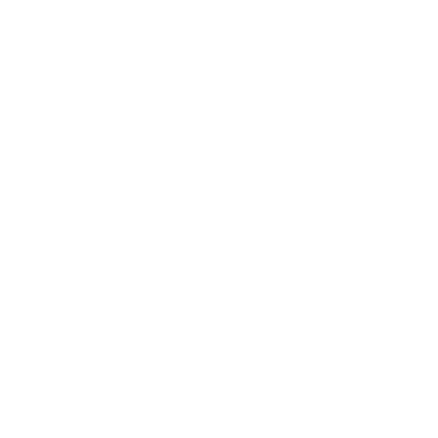 Logo Wolfgang Seger